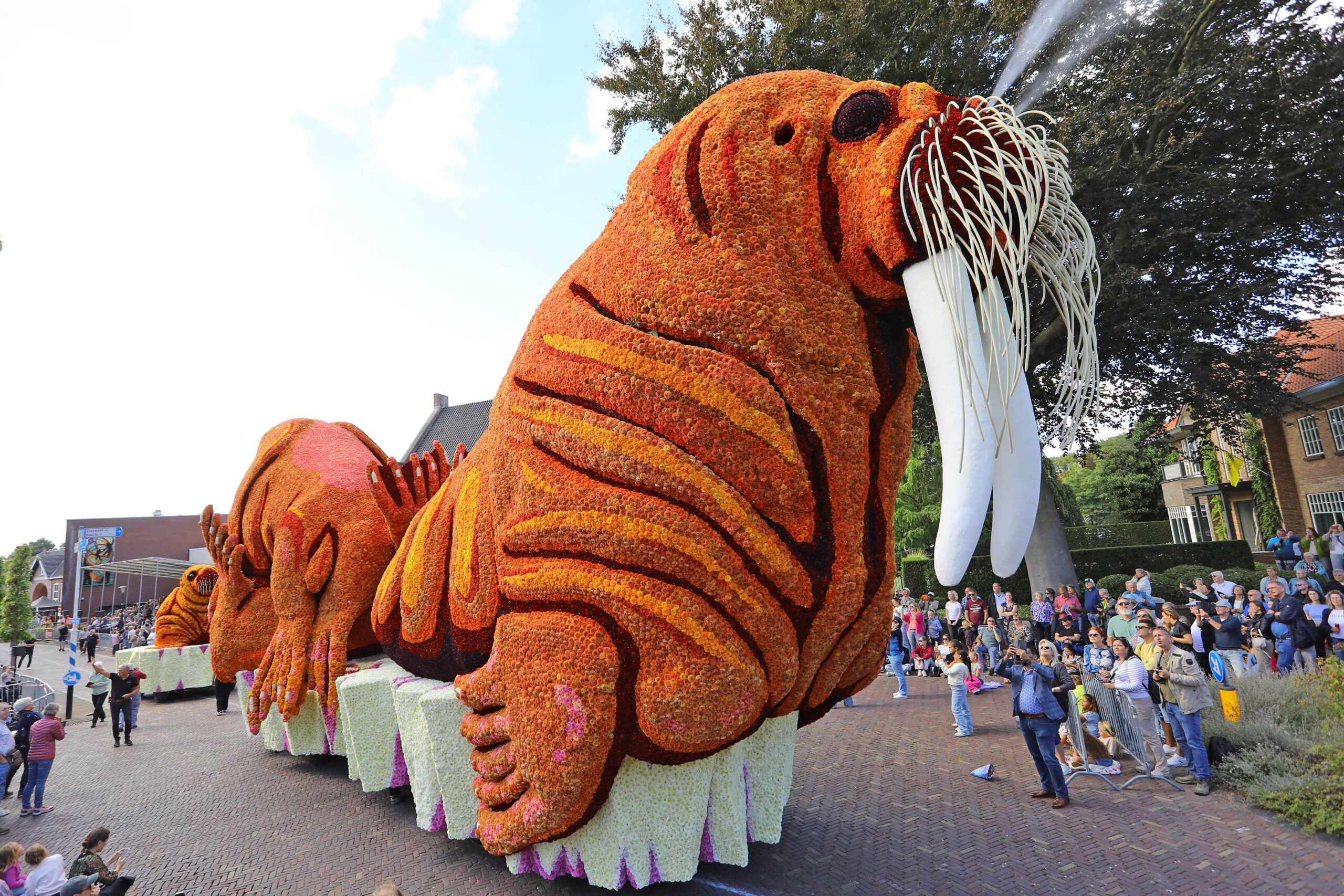 Corso_2025_Lansink-Bluiminck